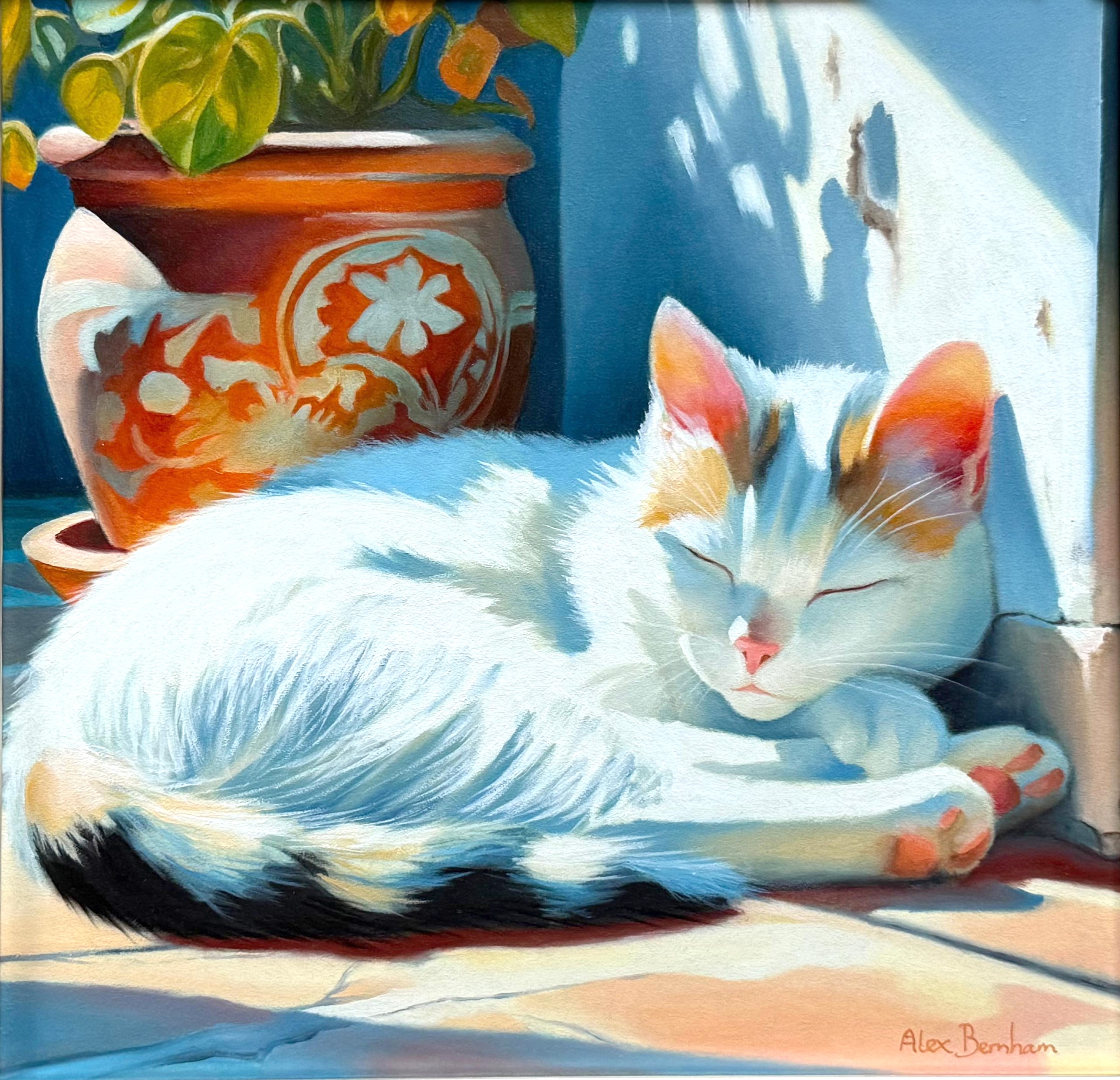 The Sunny Spot by Alex Bernham