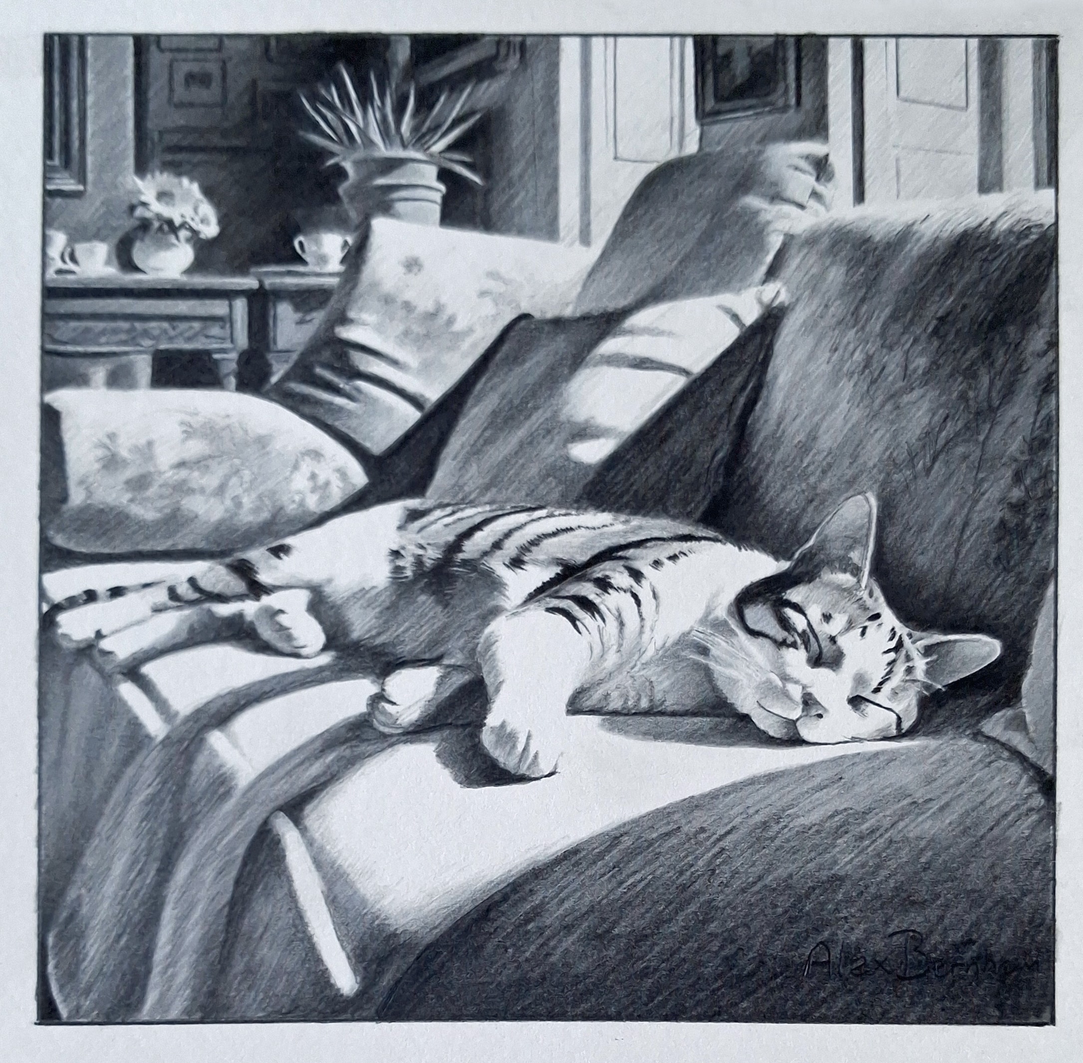 The Great Sunbeam Sleep-in by Alex Bernham